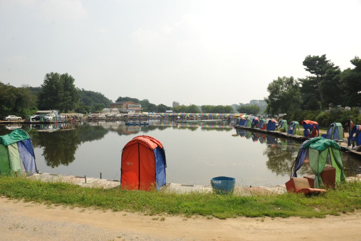 254.JPG