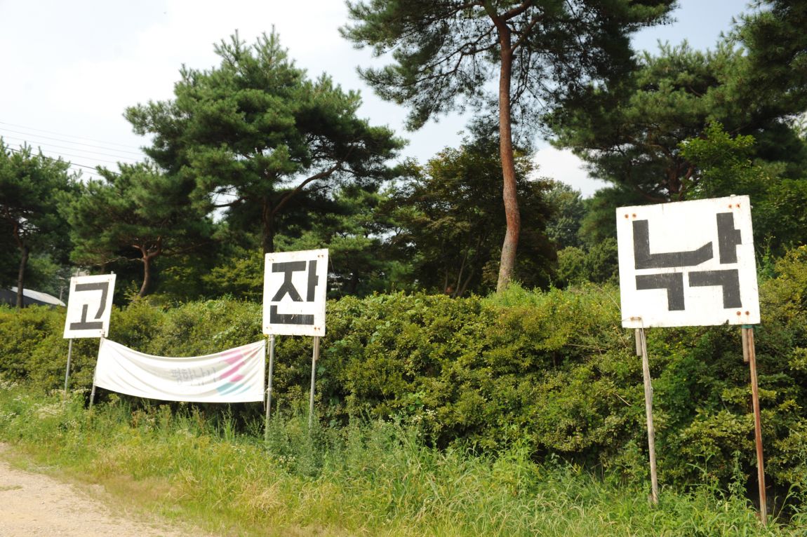 251.JPG