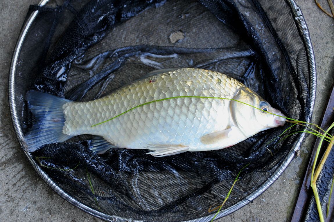 ²Ù¹Ì±â_¾î¿ì½ÇÁö2 051.JPG