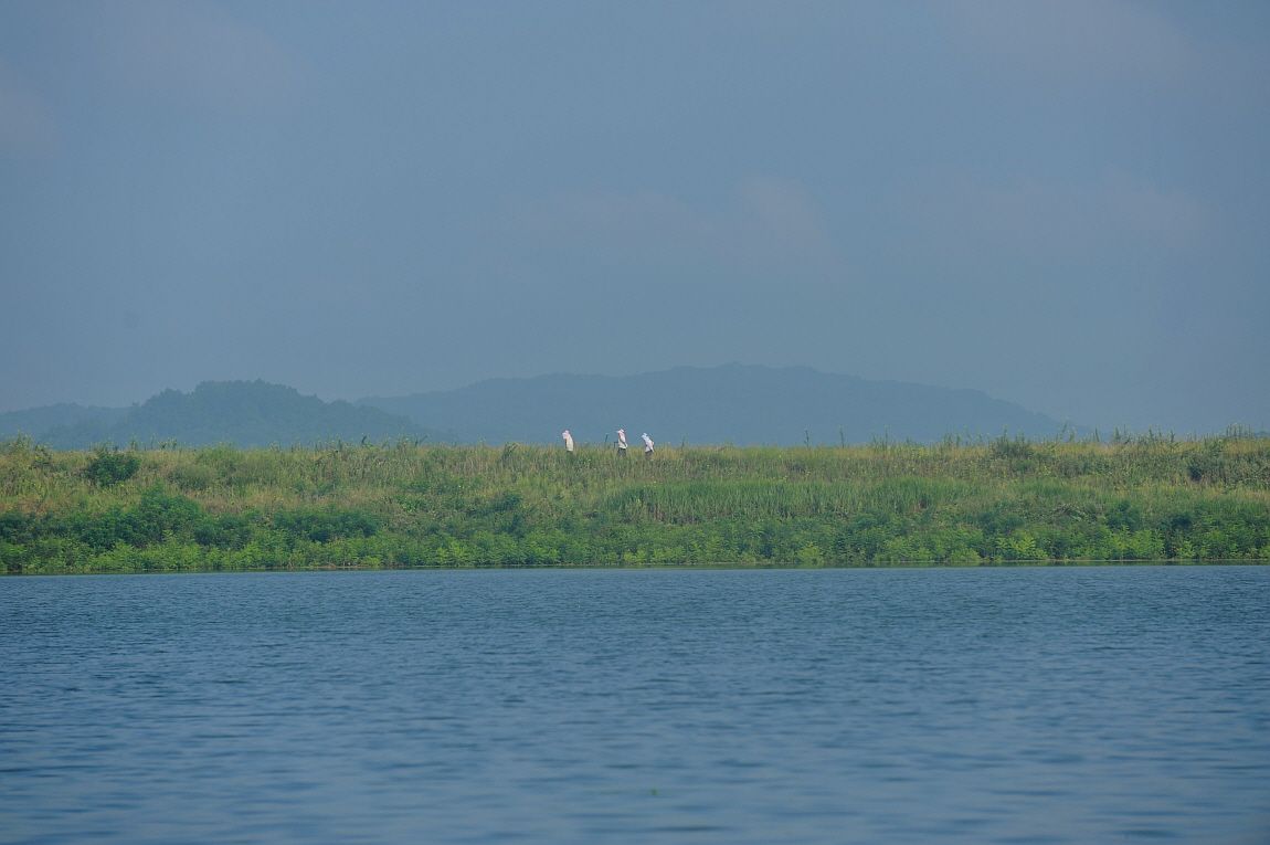 ²Ù¹Ì±â_¾î¿ì½ÇÁö2 082.JPG