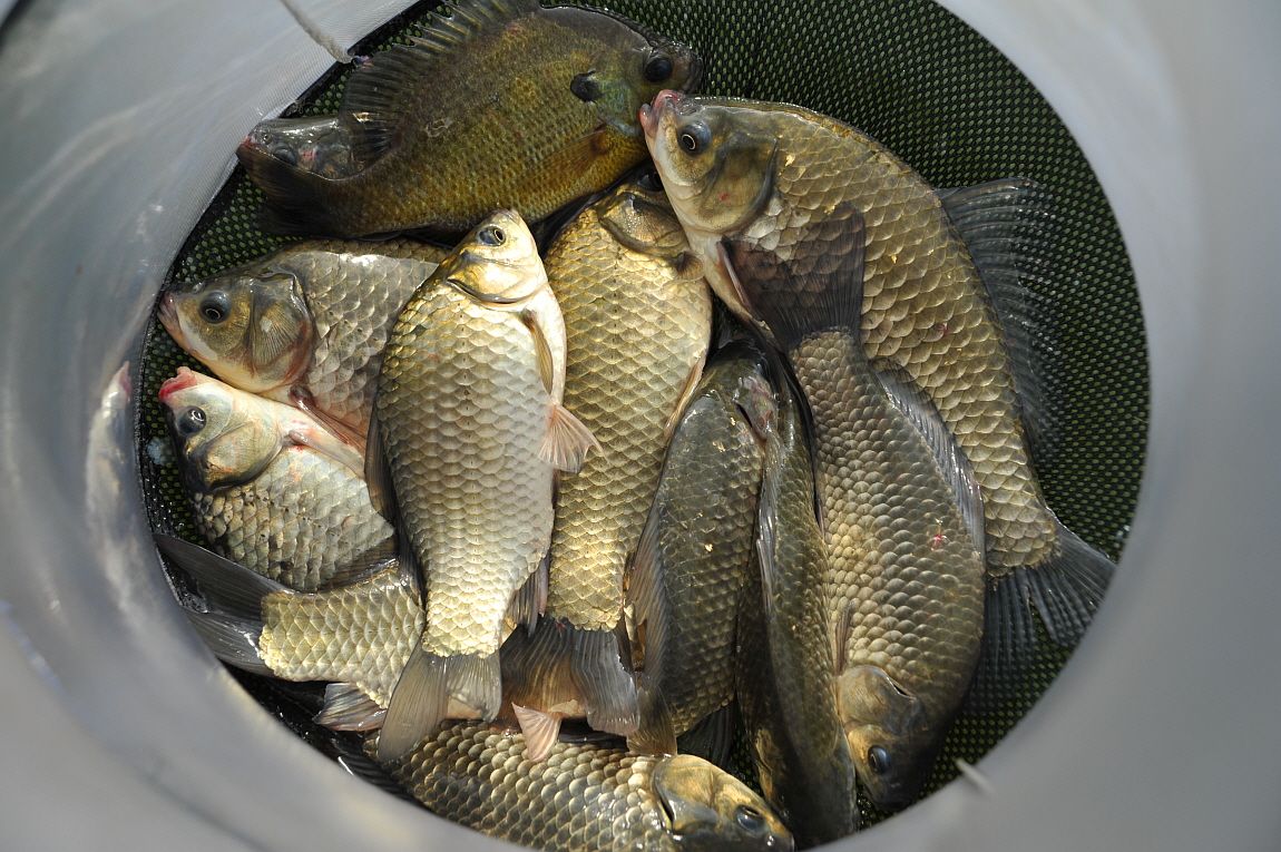 ²Ù¹Ì±â_¾î¿ì½ÇÁö2 093.JPG