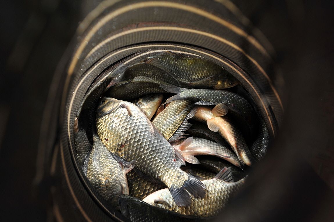 ²Ù¹Ì±â_¾î¿ì½ÇÁö2 136.JPG