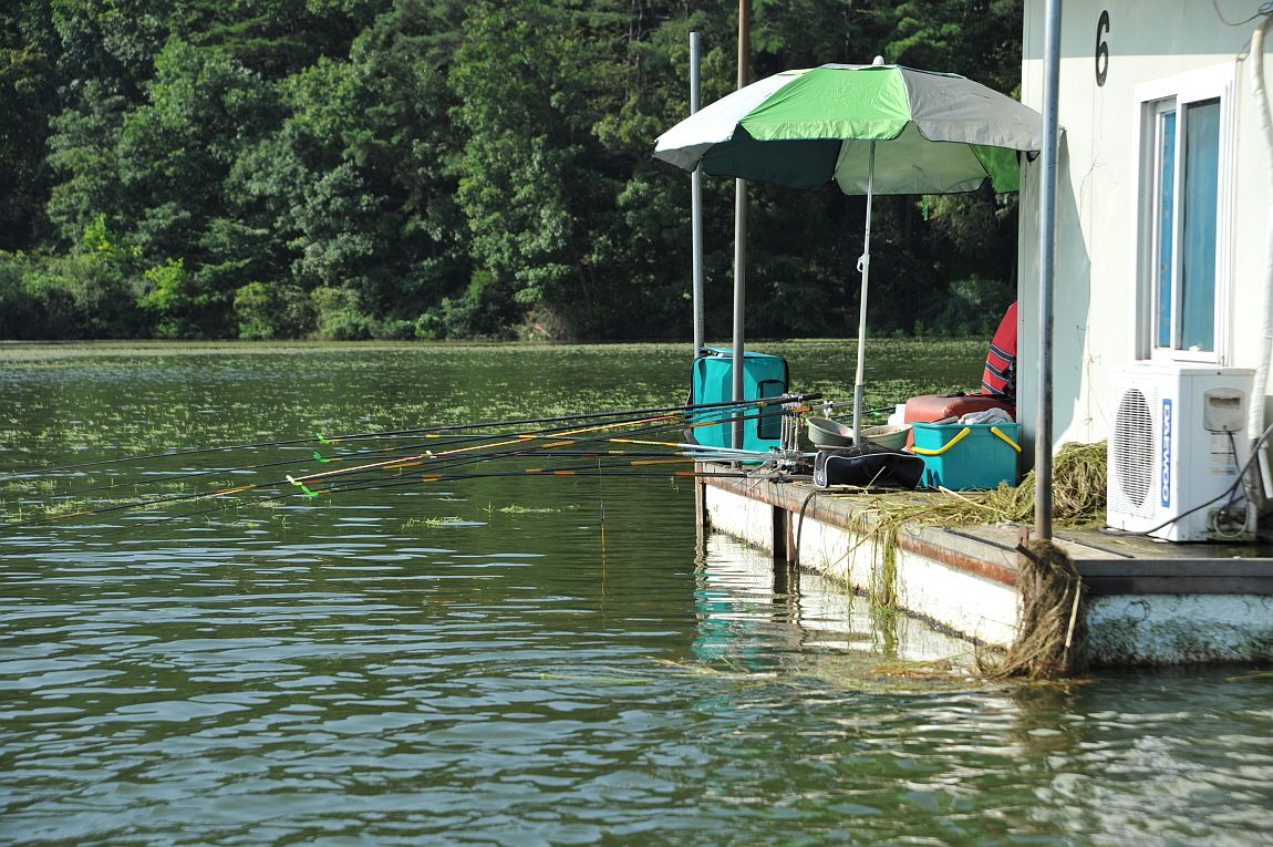 ²Ù¹Ì±â_¾î¿ì½ÇÁö2 145.JPG