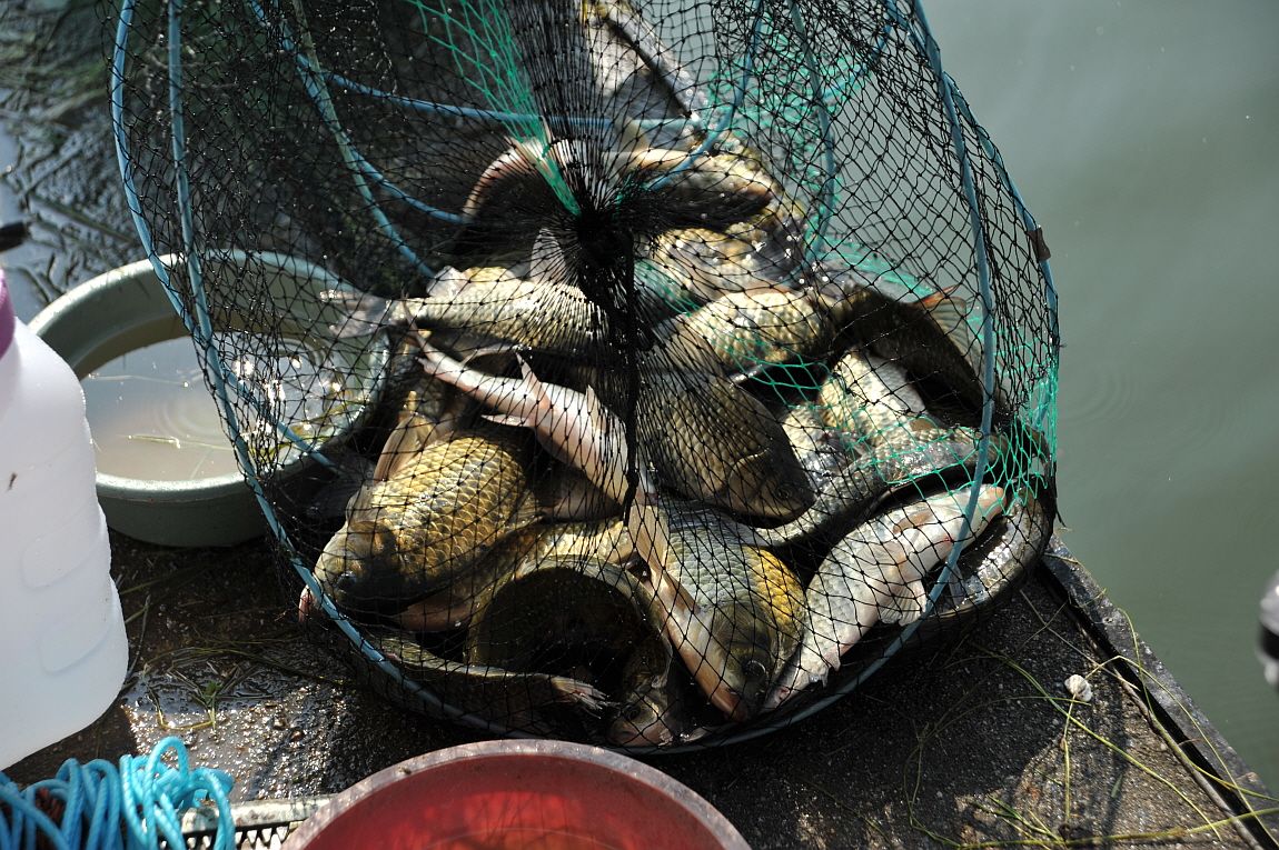 ²Ù¹Ì±â_¾î¿ì½ÇÁö2 158.JPG