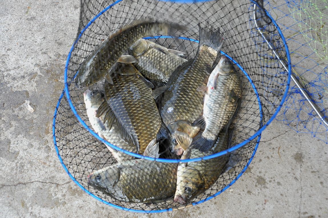 ²Ù¹Ì±â_¾î¿ì½ÇÁö2 170.JPG