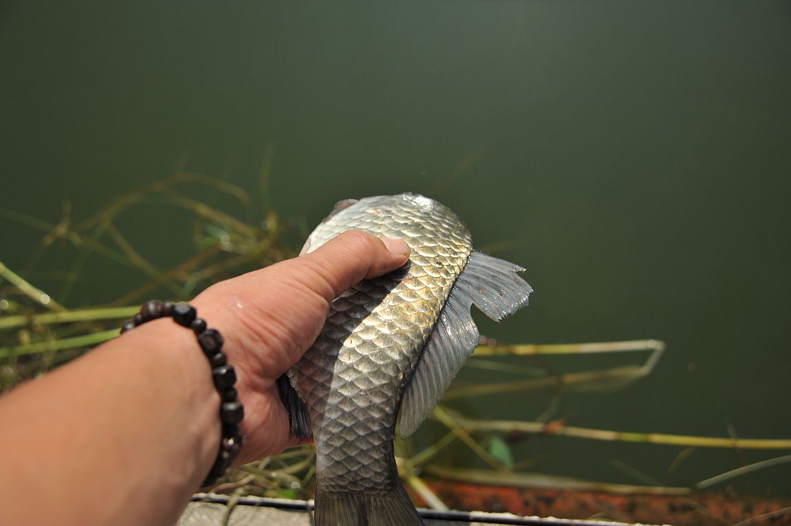 ²Ù¹Ì±â_¾î¿ì½ÇÁö2 196.JPG