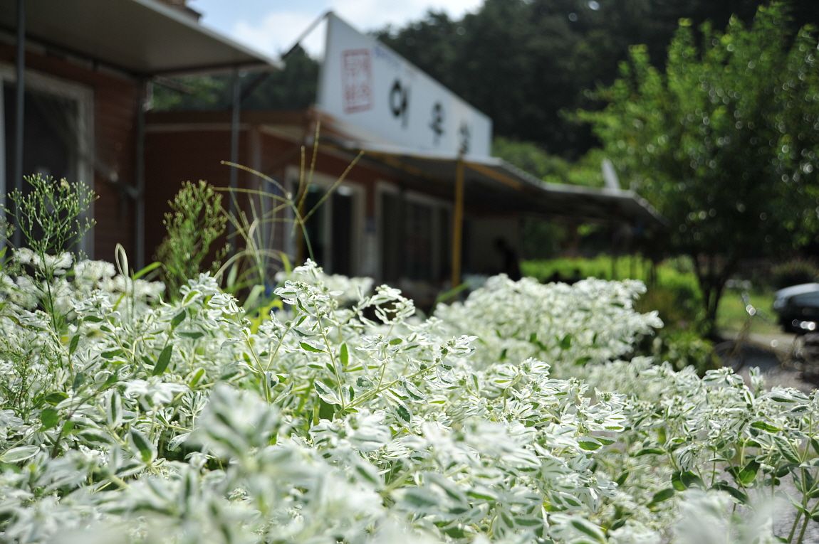 ²Ù¹Ì±â_¾î¿ì½ÇÁö2 259.JPG