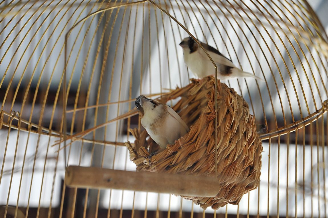 ²Ù¹Ì±â_¾î¿ì½ÇÁö2 265.JPG