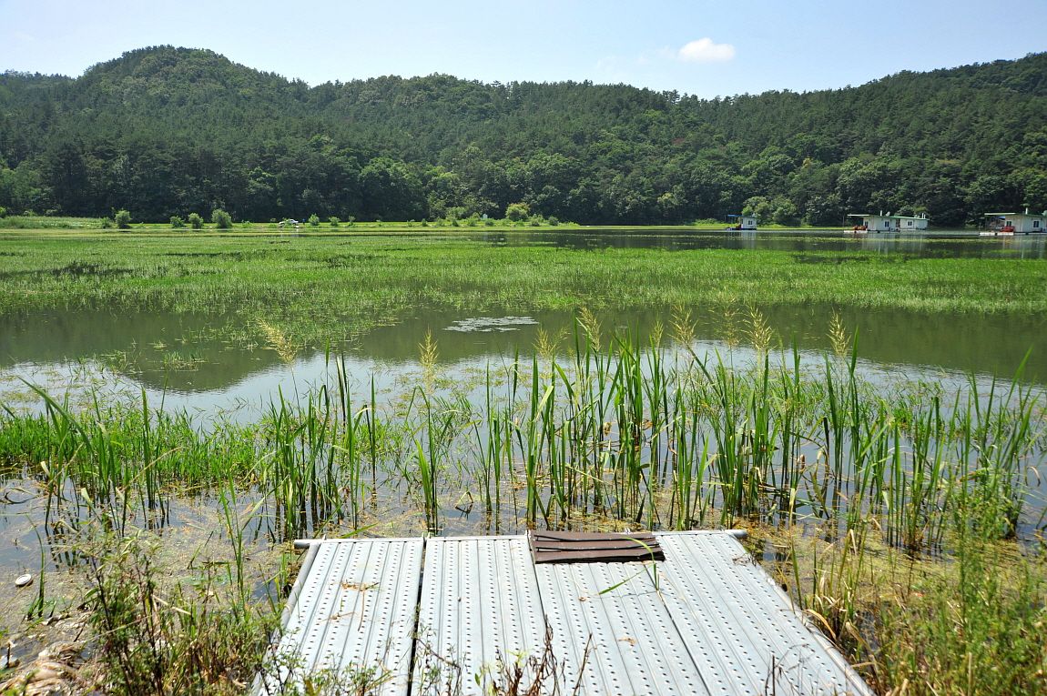 ²Ù¹Ì±â_¾î¿ì½ÇÁö2 271.JPG