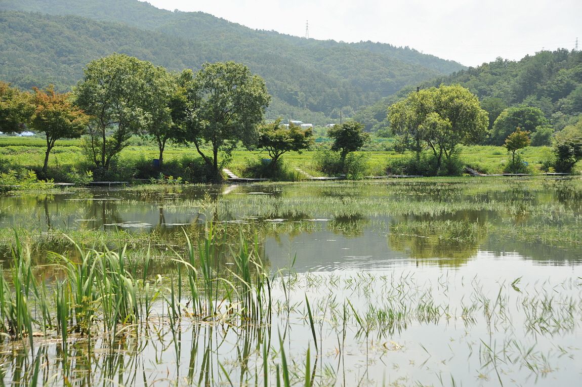 ²Ù¹Ì±â_¾î¿ì½ÇÁö2 275.JPG