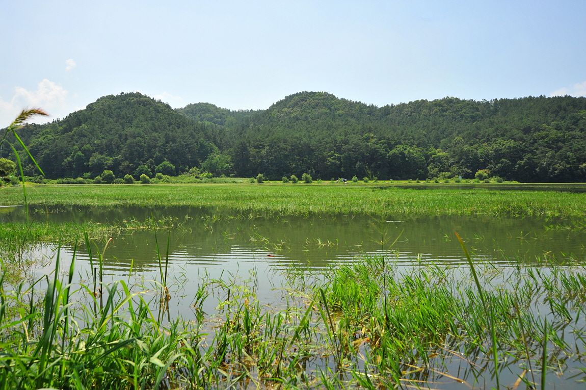 ²Ù¹Ì±â_¾î¿ì½ÇÁö2 282.JPG