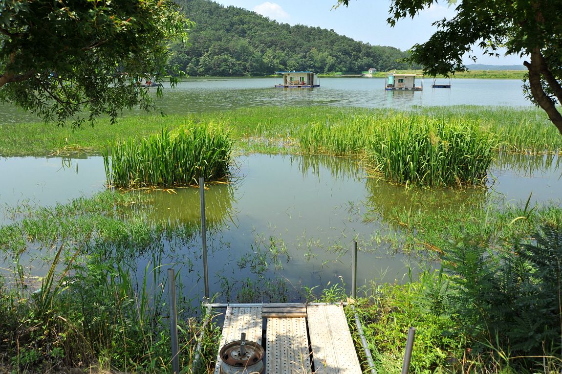 ²Ù¹Ì±â_¾î¿ì½ÇÁö2 291.JPG