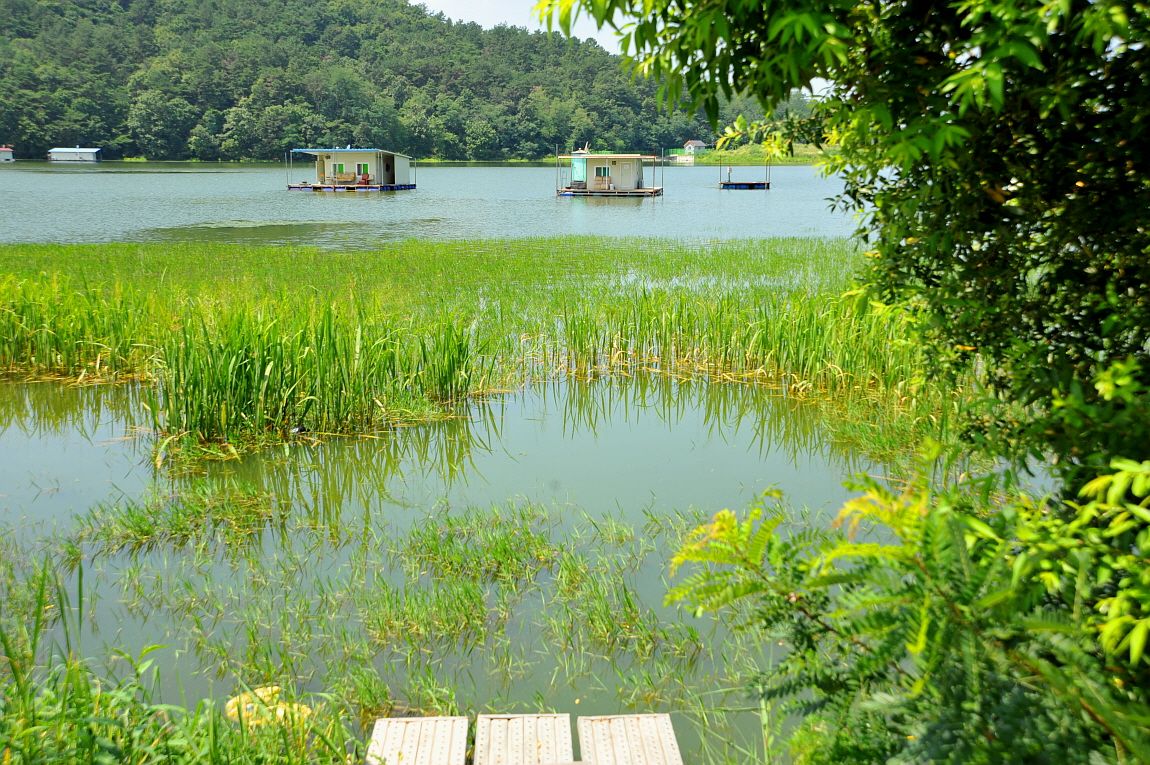 ²Ù¹Ì±â_¾î¿ì½ÇÁö2 296.JPG