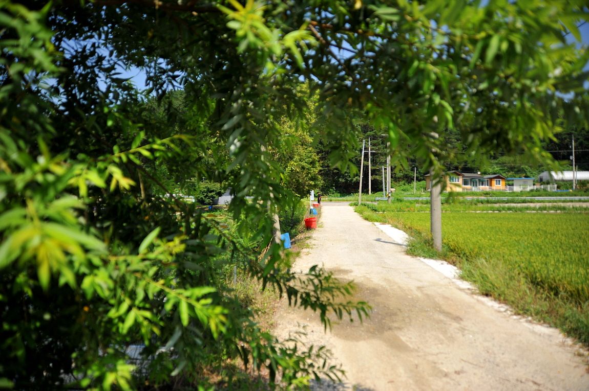 ²Ù¹Ì±â_¾î¿ì½ÇÁö2 297.JPG