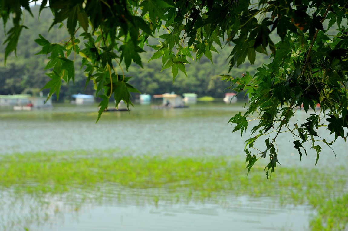 ²Ù¹Ì±â_¾î¿ì½ÇÁö2 310.JPG