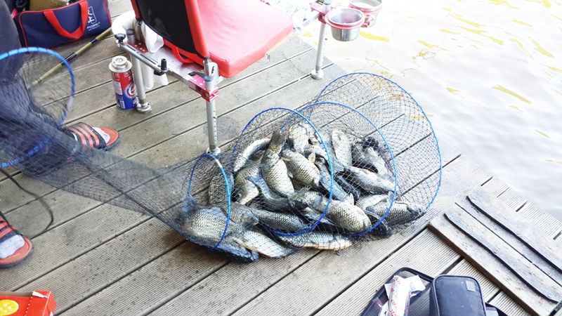 20150907_095415.jpg