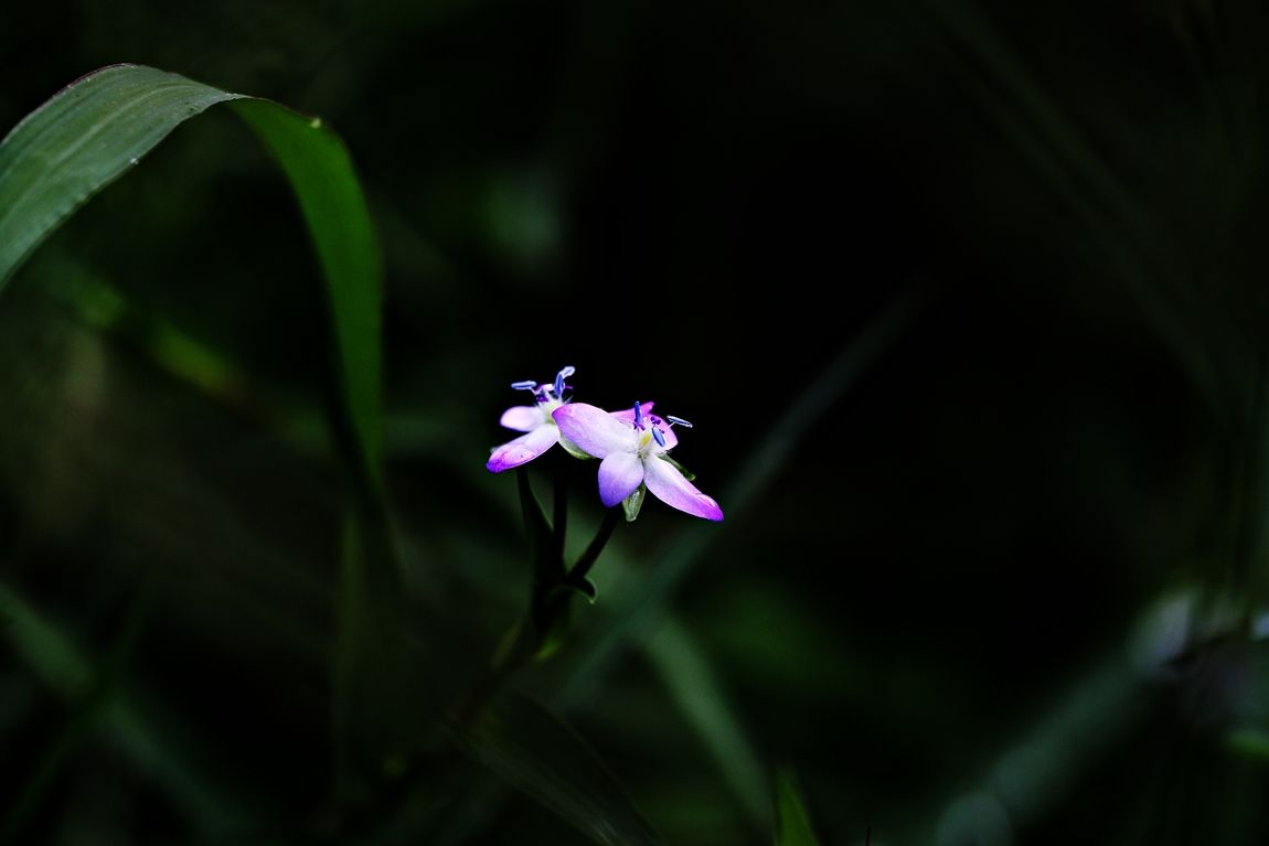 3A6A3417.JPG
