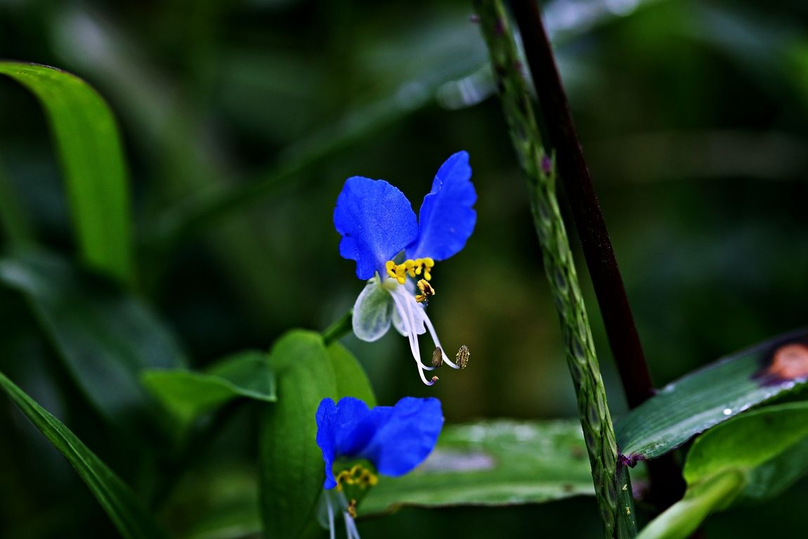 3A6A3426.JPG