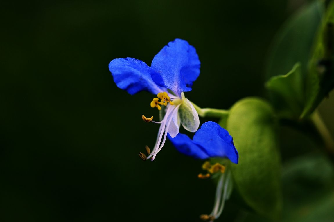 3A6A3429.JPG