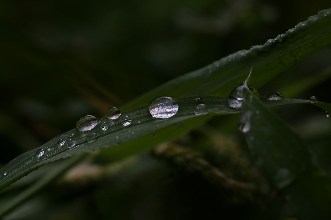 3A6A3422.JPG