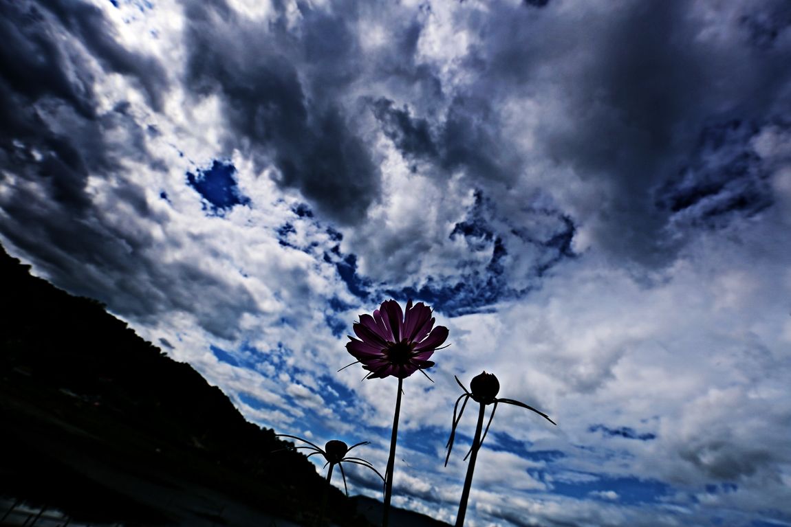 3A6A3456.JPG