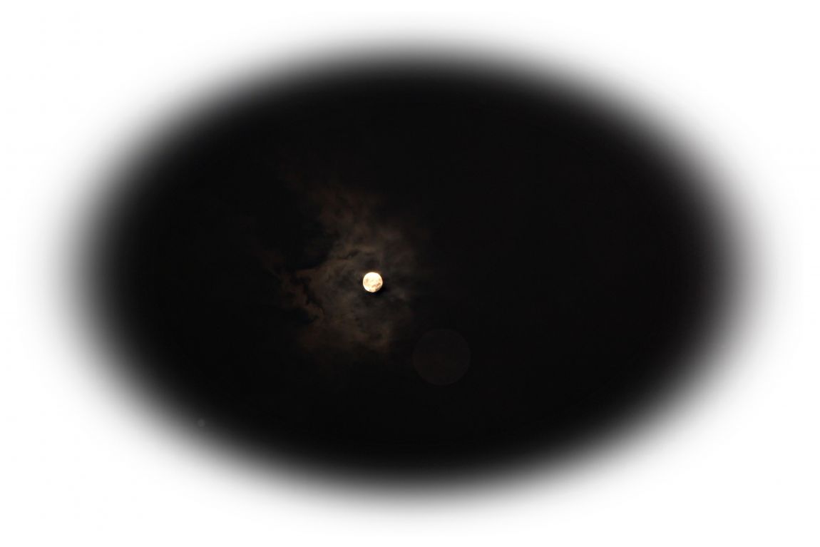 119.JPG