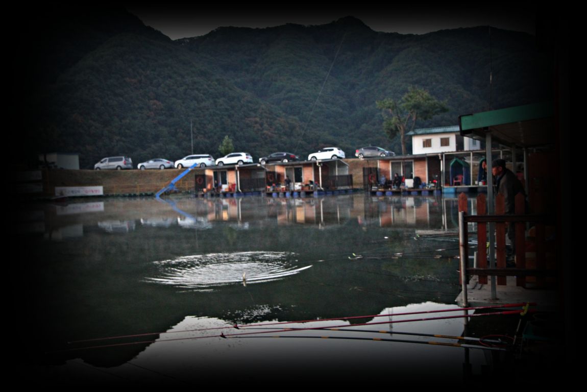 130.JPG