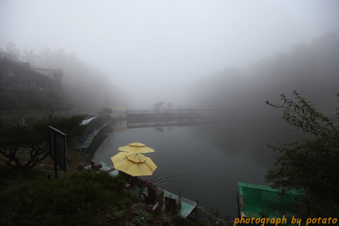 IMG_4700.jpg