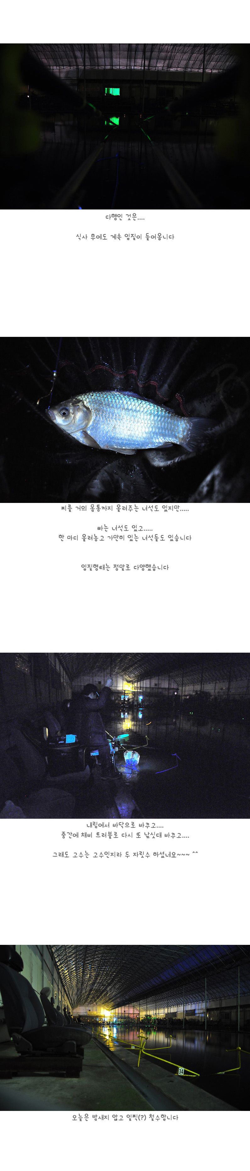���������� - 08.jpg