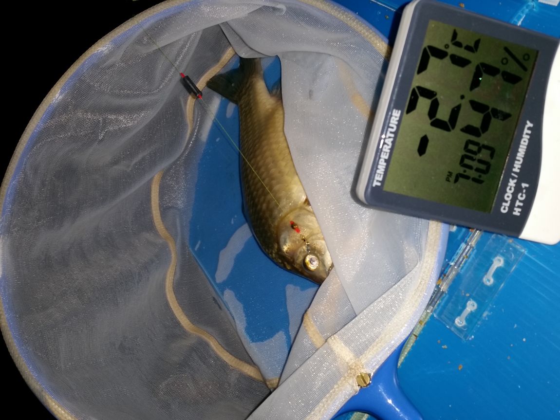 20160202_191213.jpg