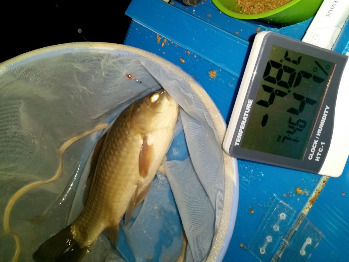 20160202_194911.jpg