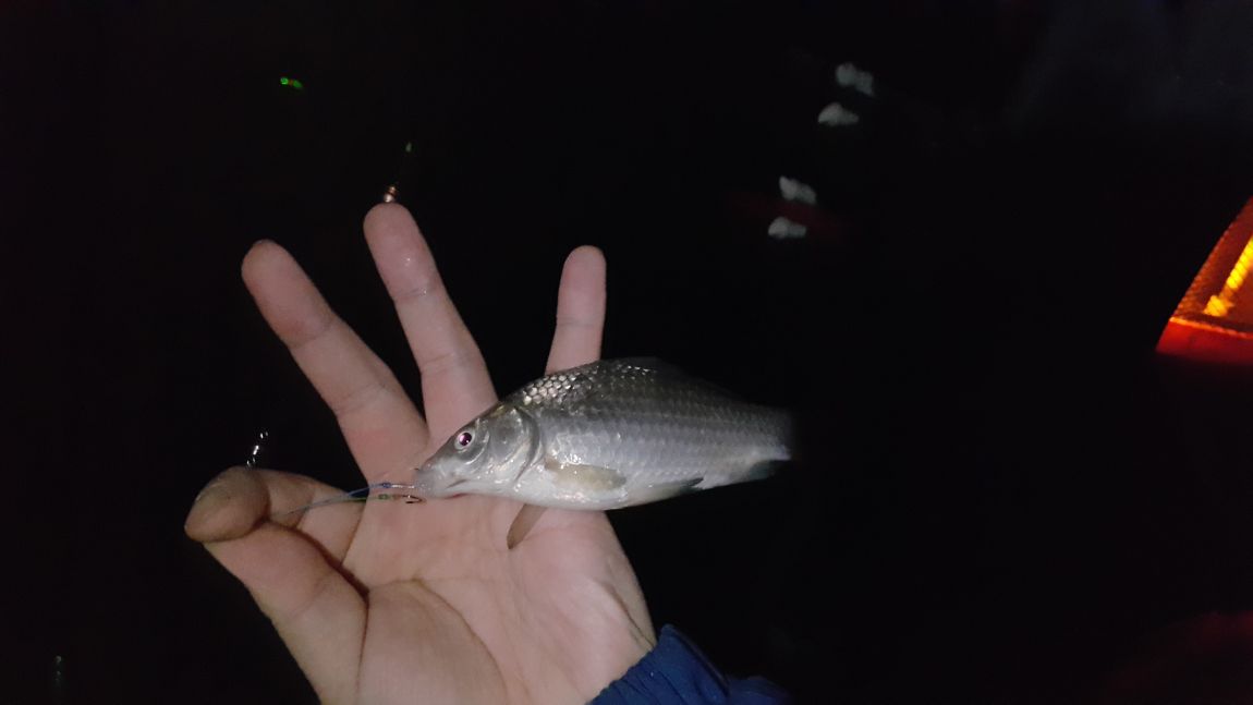 20160226_203704.jpg