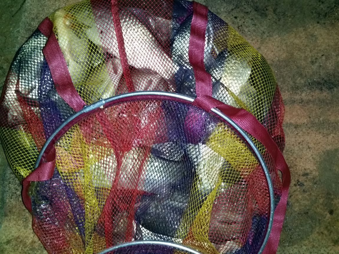 20160306_233011.jpg