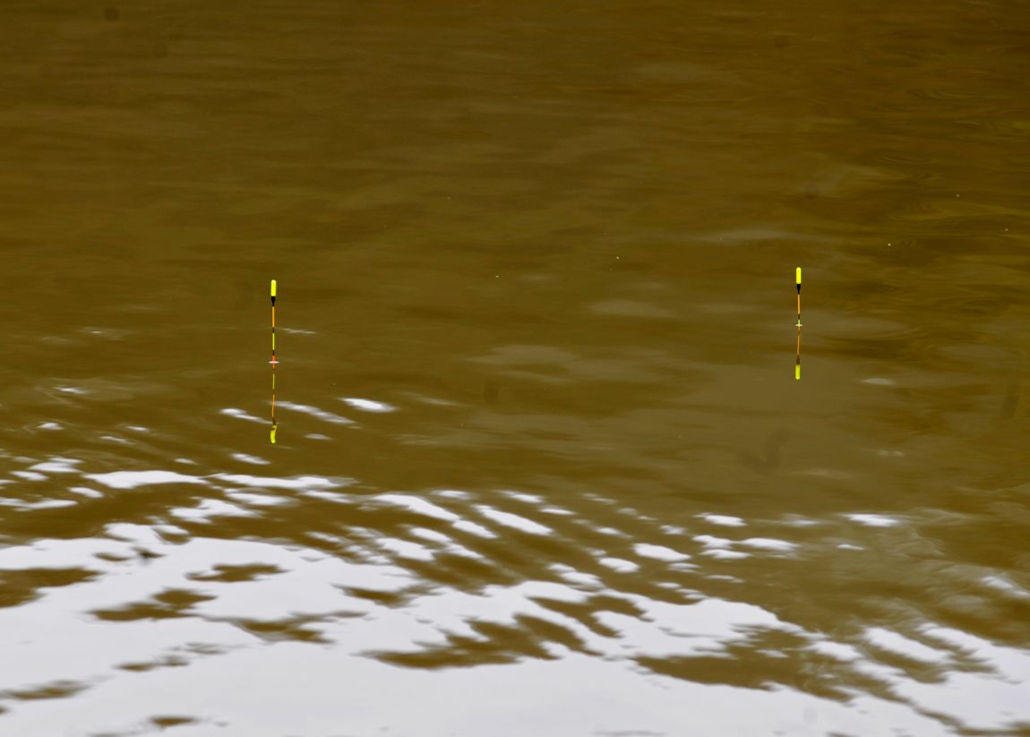 DSC_2675.JPG