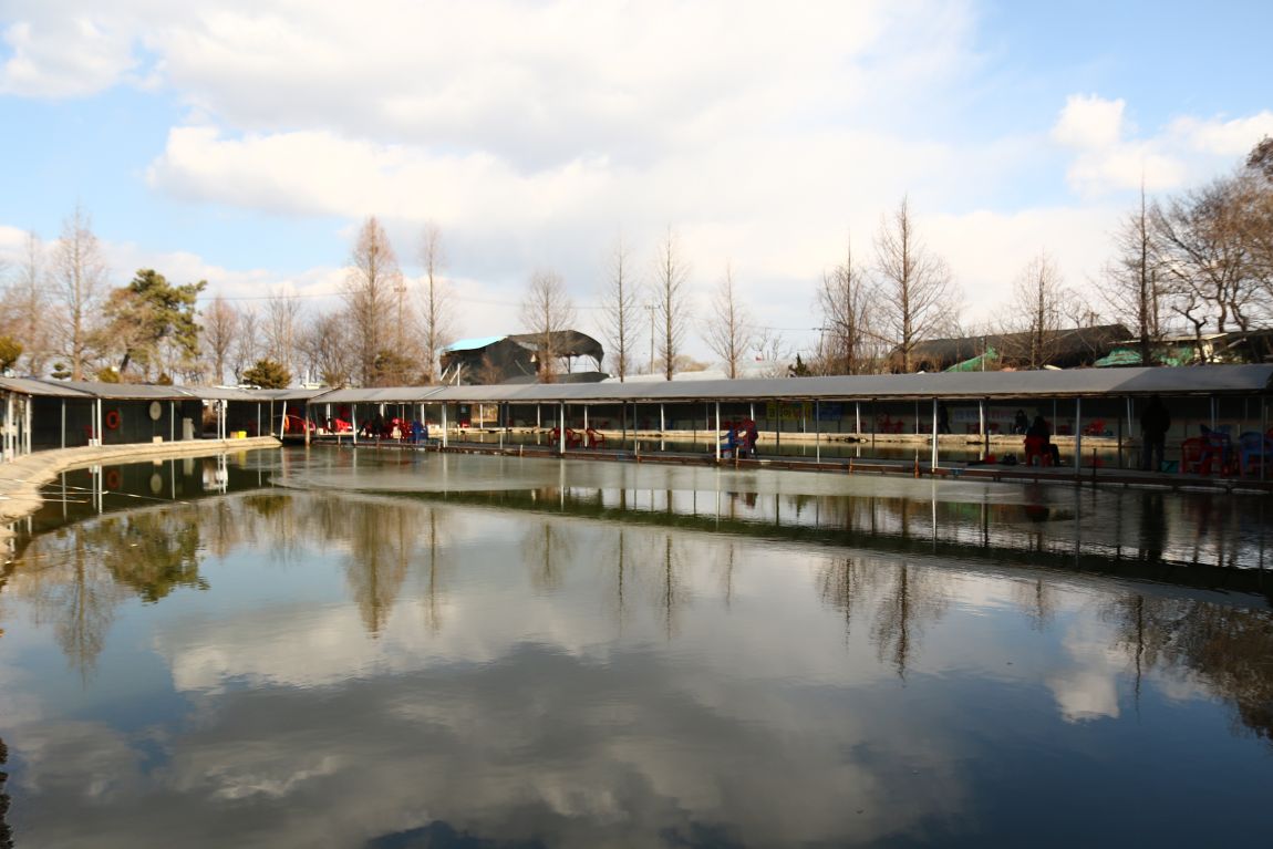 경기도 김포에 위치한 이화낚시터의 배곰치농장.발효 톱밥 납품 리뷰 / 어묵 키우기 경기도 김포에 위치한 이화낚시터의 배곰치농장.발효 톱밥 납품 리뷰 / 어묵 키우기