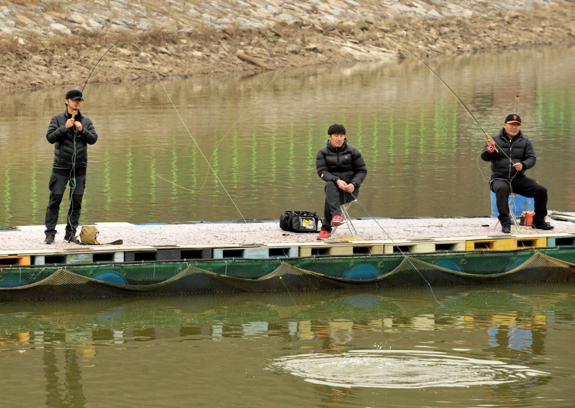 DSC_3391.JPG