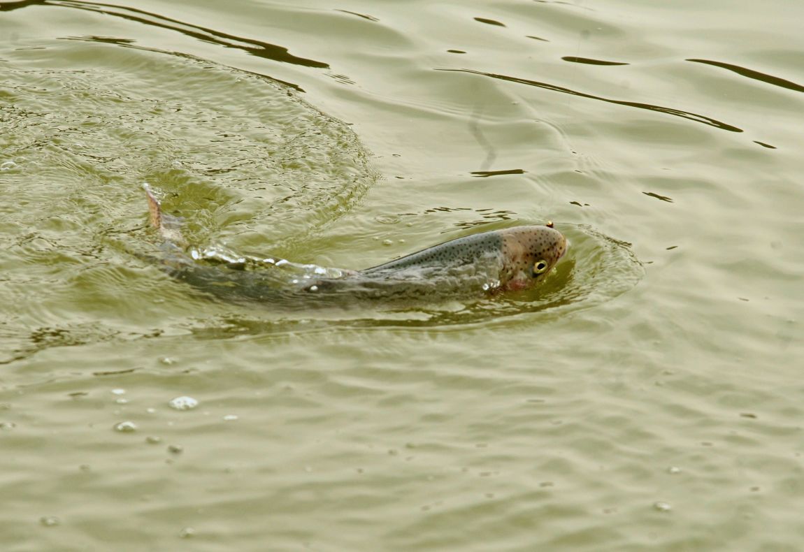 DSC_3456.JPG