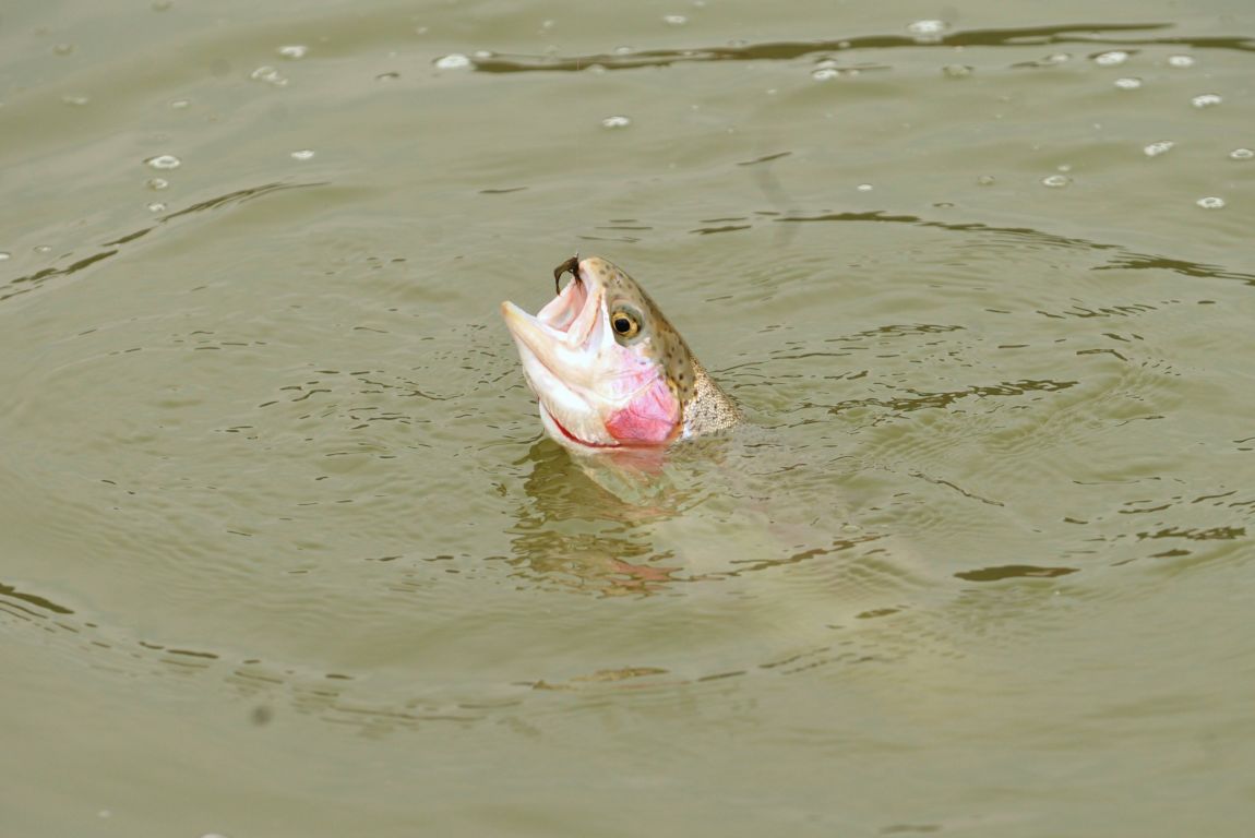 DSC_3542.JPG