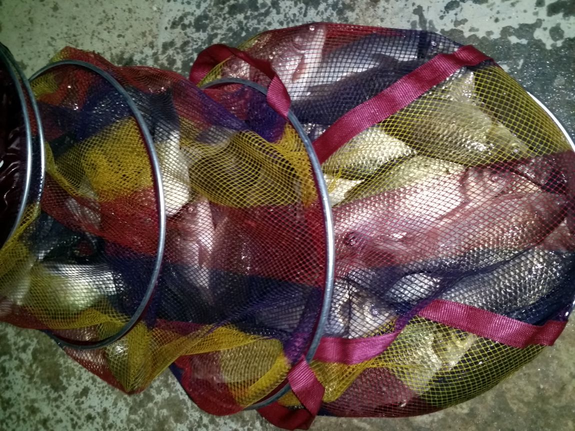 20160311_013638.jpg