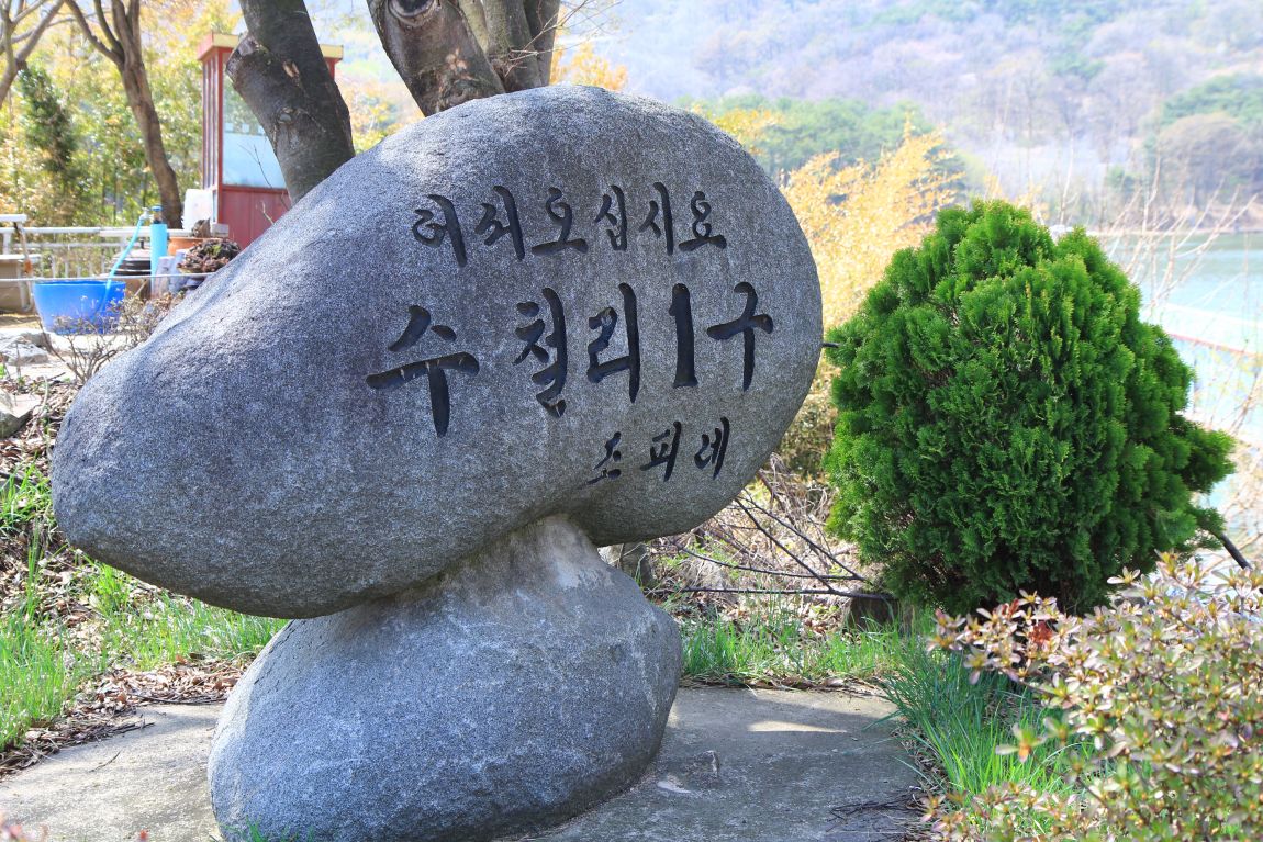 06.JPG