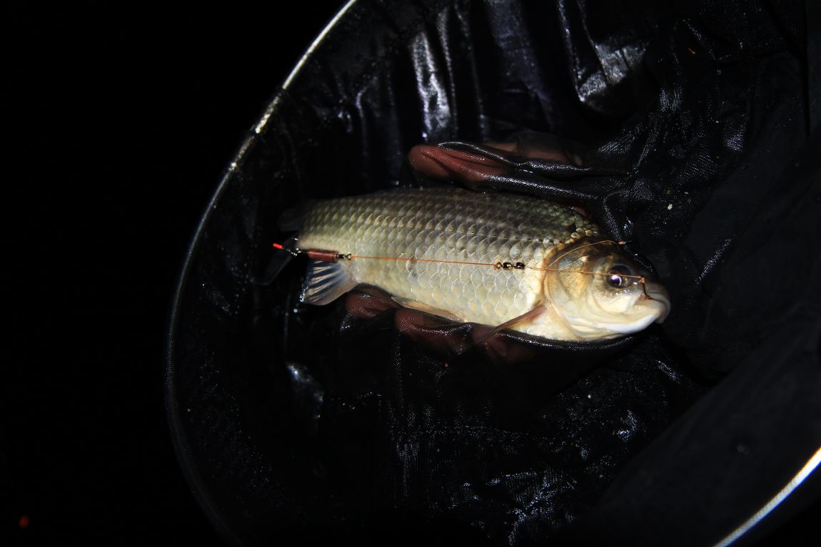 57.JPG
