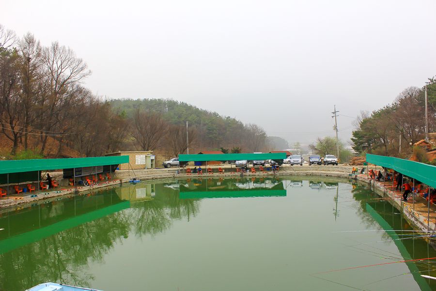 210.jpg