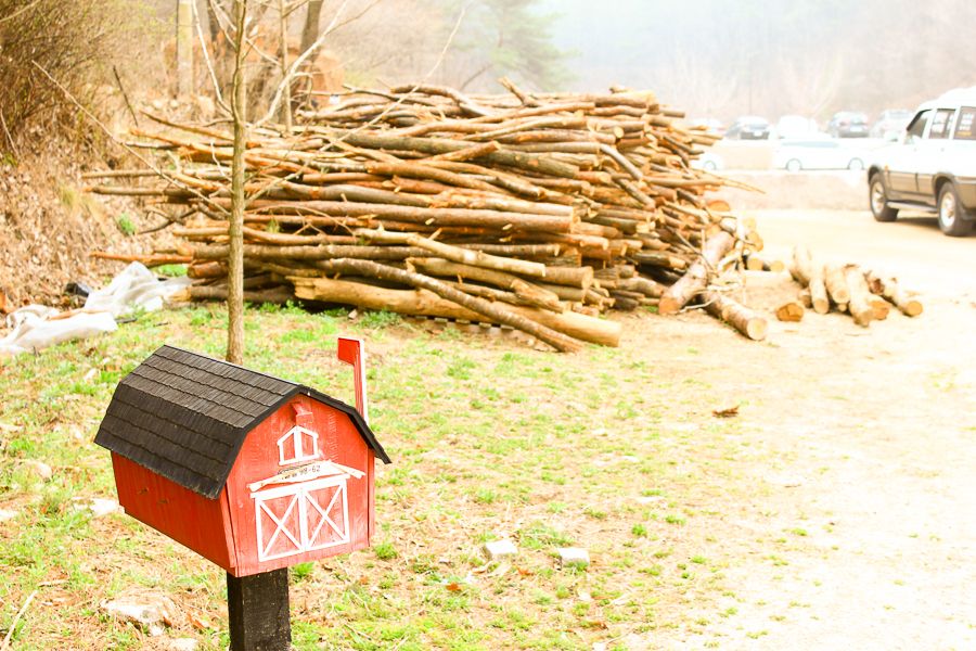 120.jpg