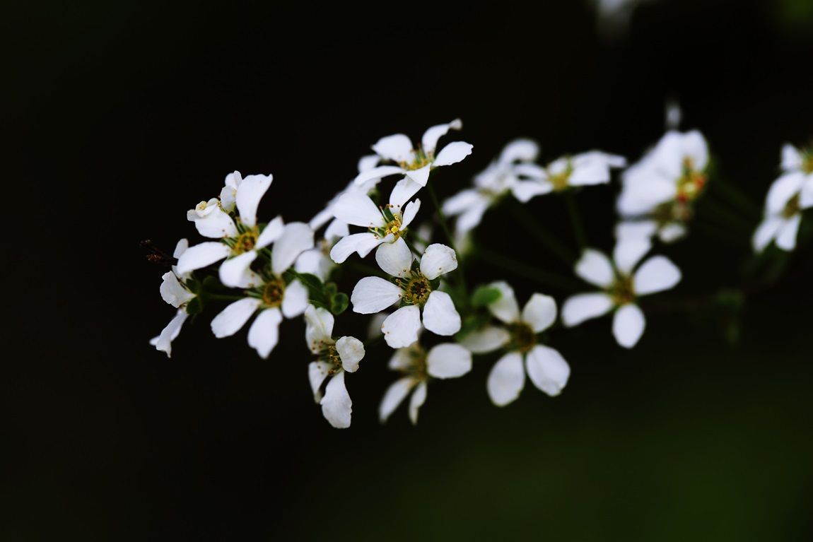 3A6A2816.JPG