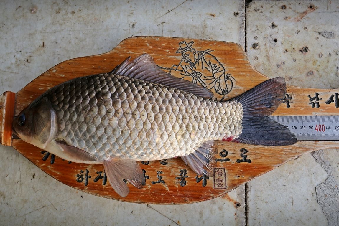 3A6A2876.JPG