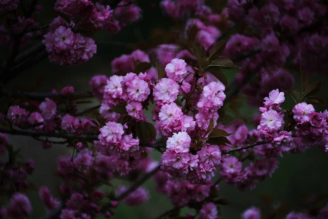 3A6A2953.JPG