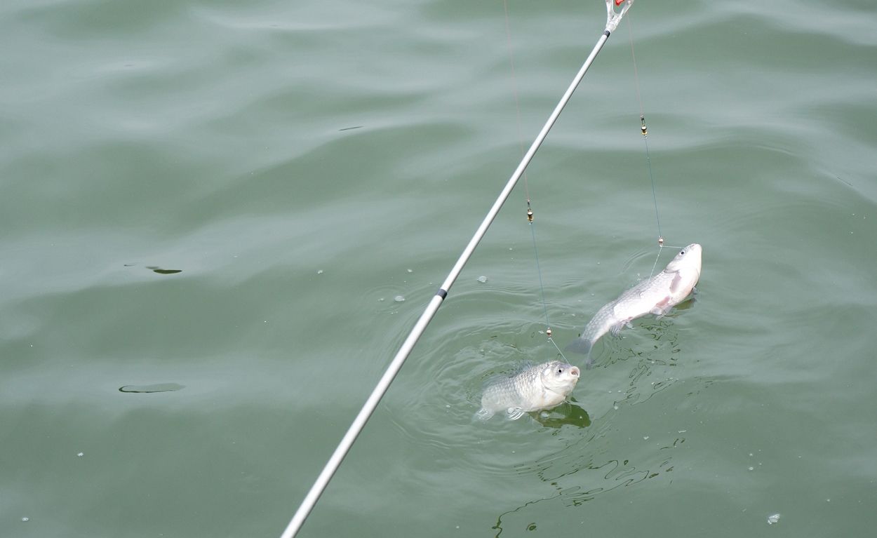 DSC07406.JPG