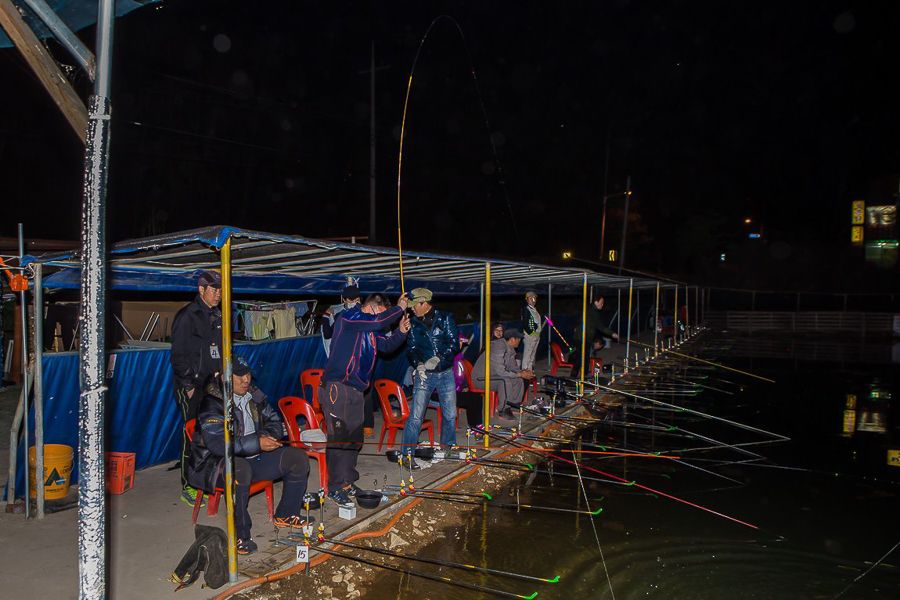 1461750826_7013-2.jpg