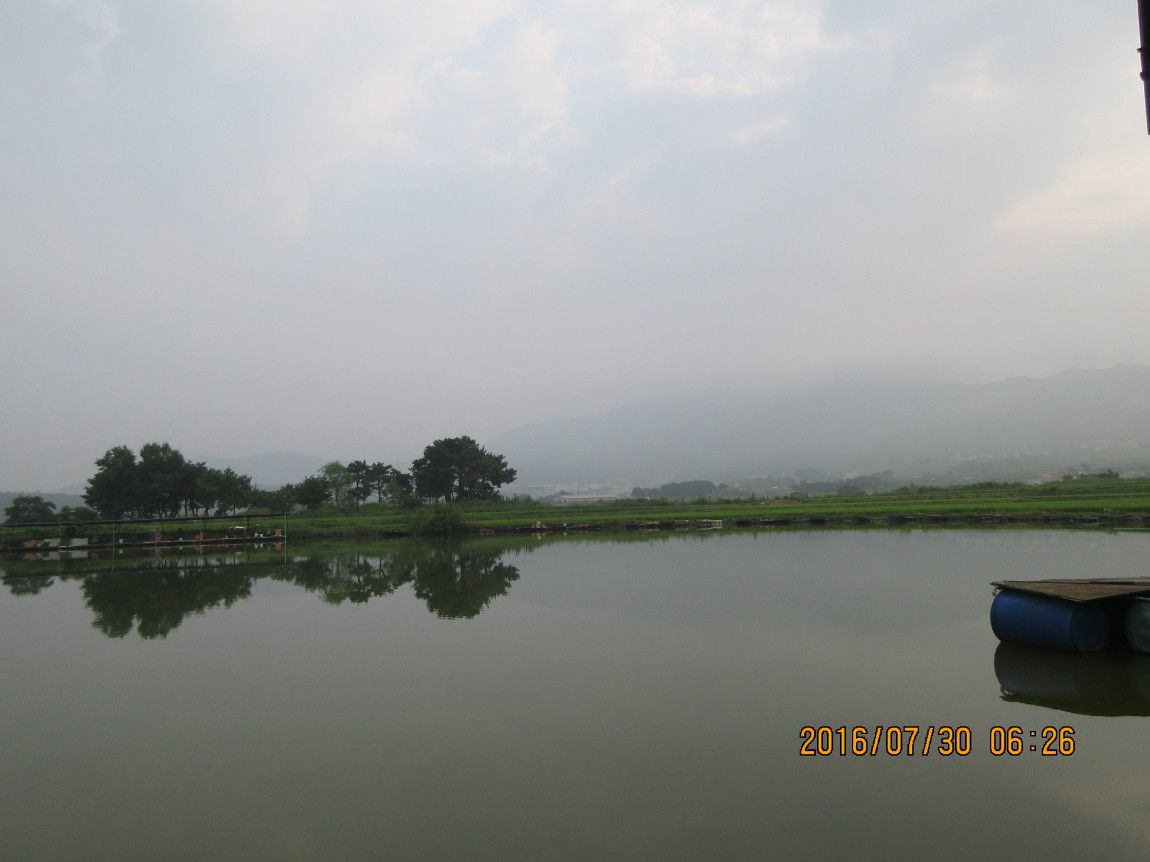 로치 > 경주 신계낚시터..반딧불이 날고 자연이 살아있는 낚시터를 소개 합니다~!! : 낚시사랑