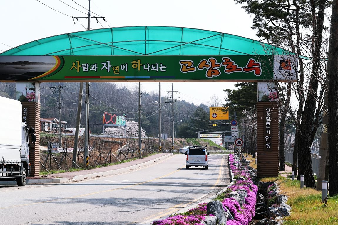 노아주 > 고삼 느티나무좌대 : 낚시사랑
